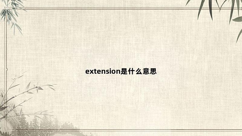 extension是什么意思